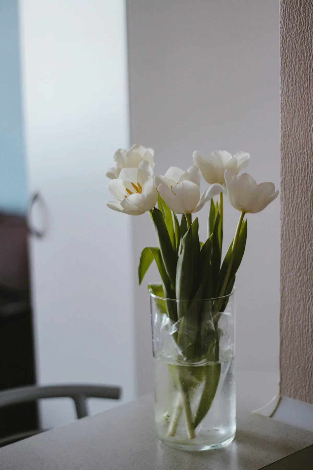 Minimalist wedding website collection