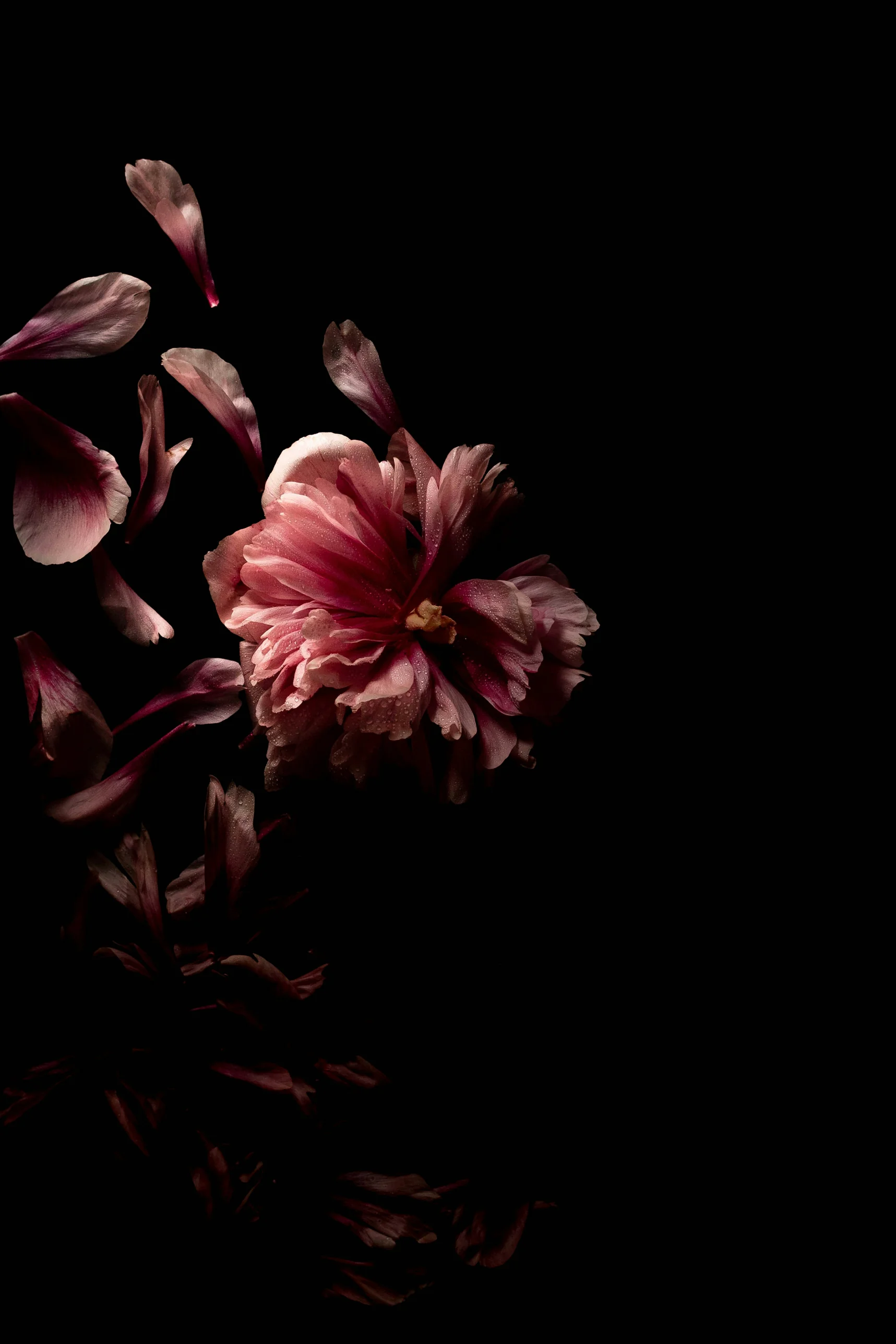 Romantic wedding website collection